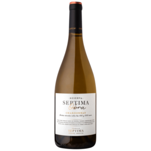 Séptima Obra Reserva Chardonnay 2024